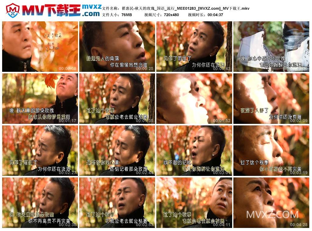 翟惠民-秋天的玫瑰_国语_流行_MEE01283